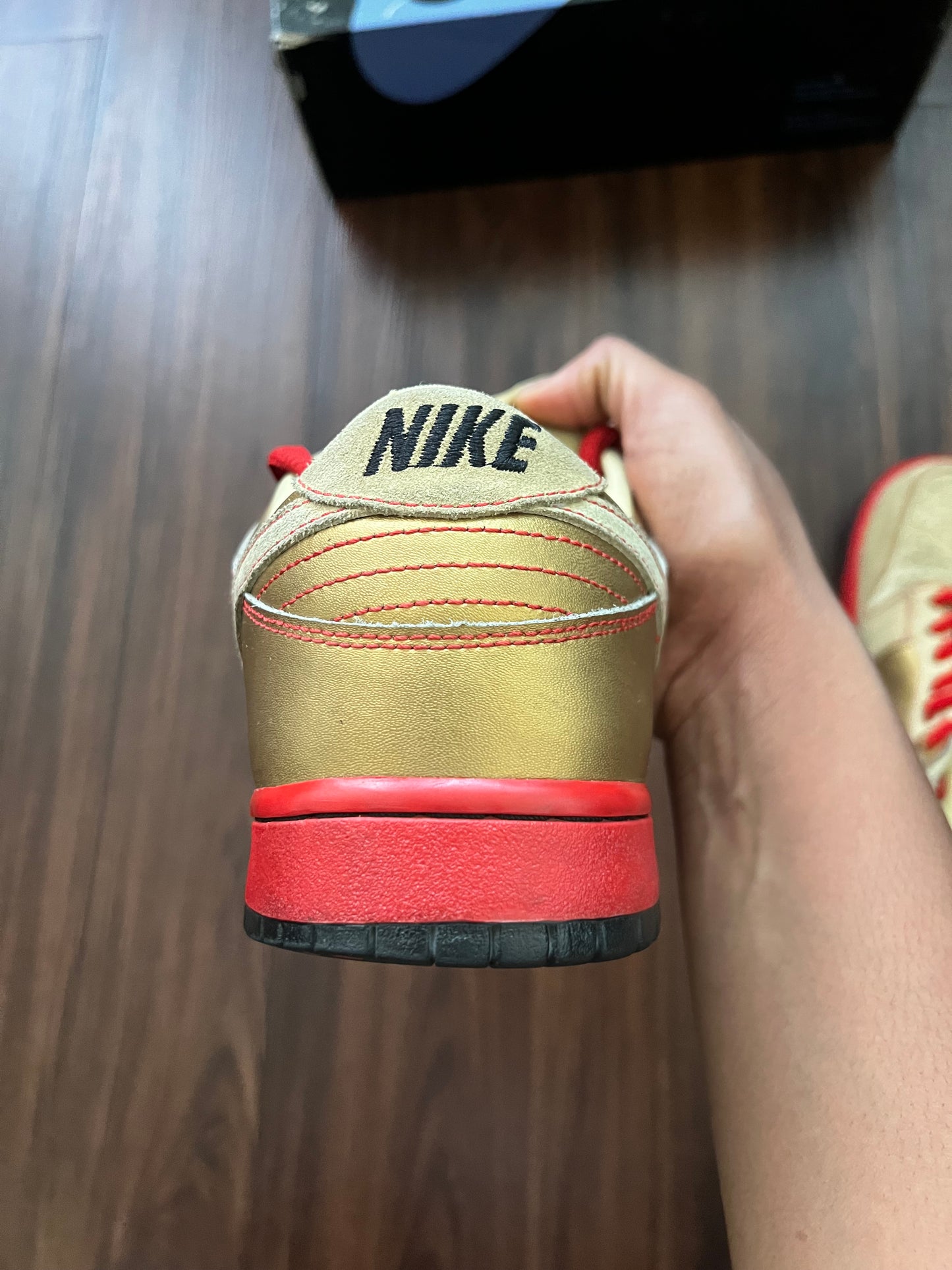Nike SB “Money Cat” Low