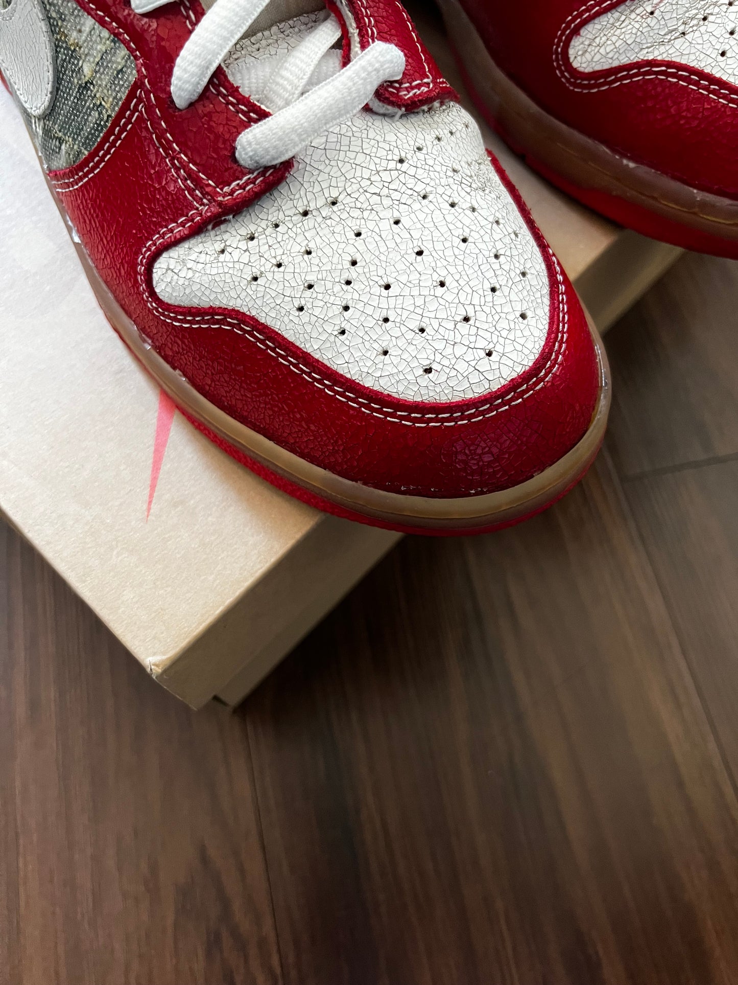 Nike SB 'Shoe Goop'