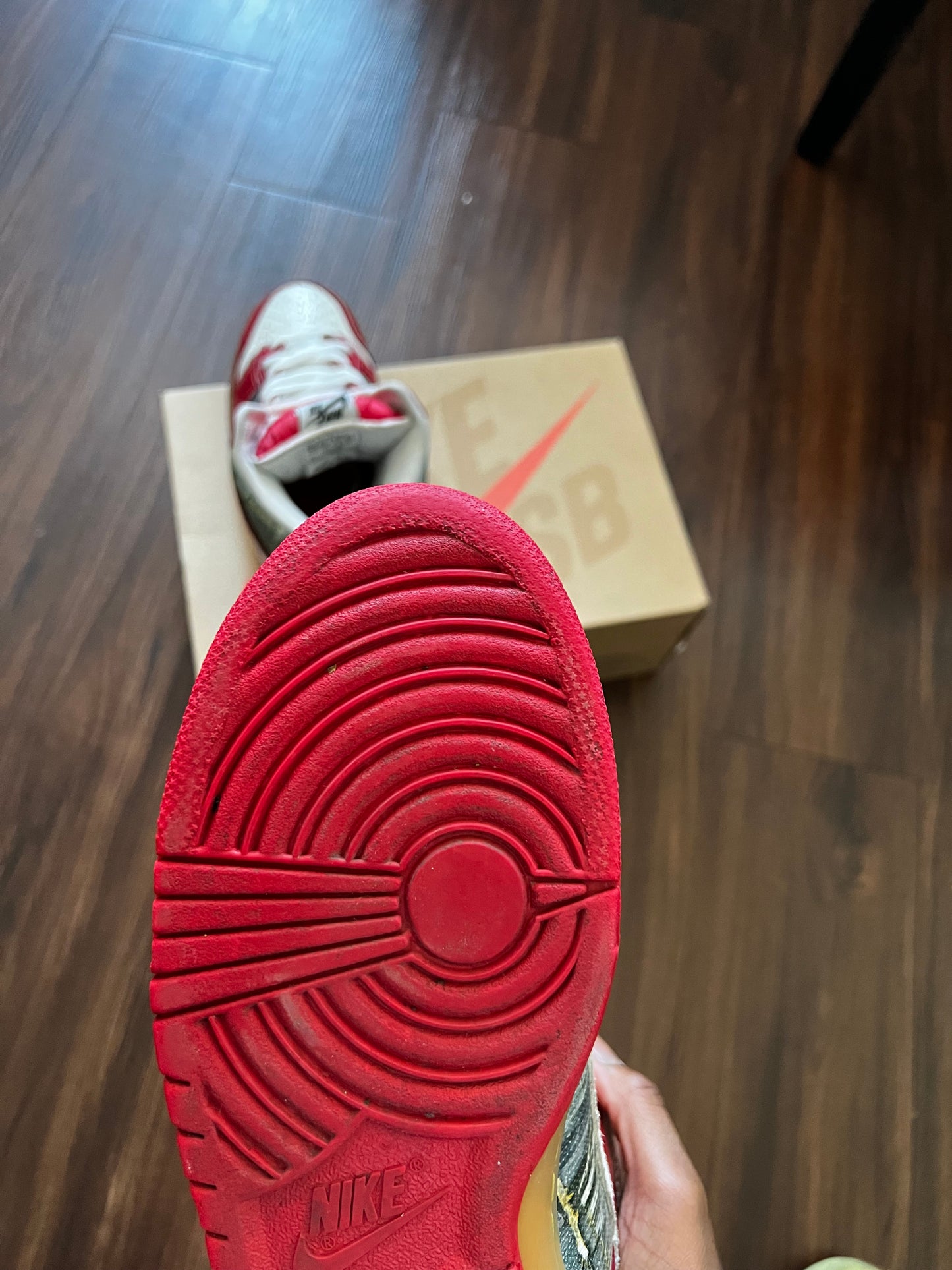 Nike SB 'Shoe Goop'
