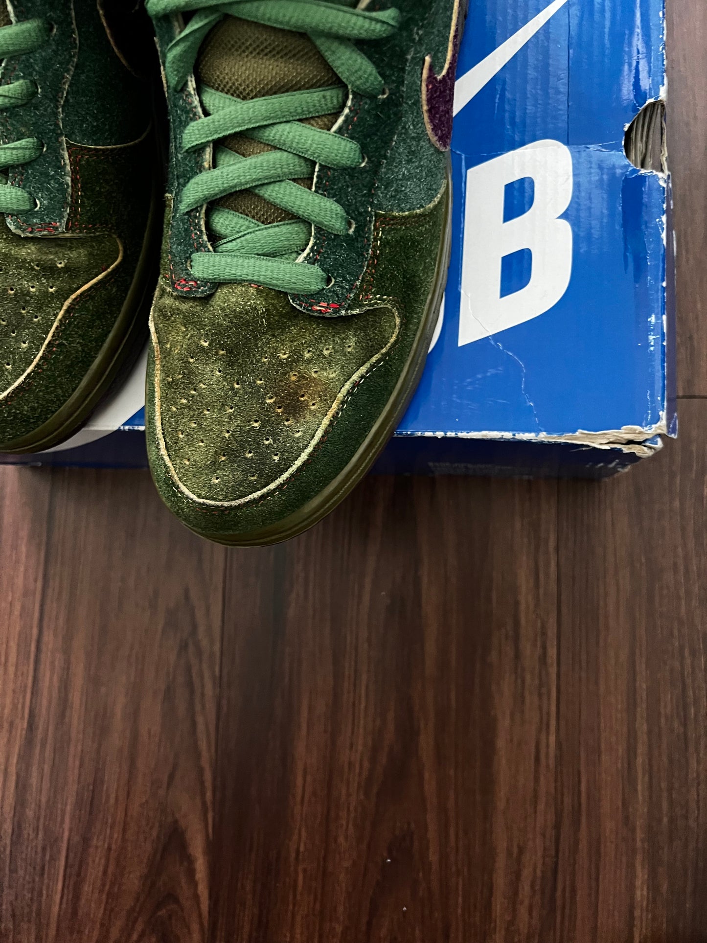 Nike SB 'Skunk'